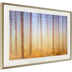 Arkiio Affisch Foggy Forest [Poster] 30x20 Poster